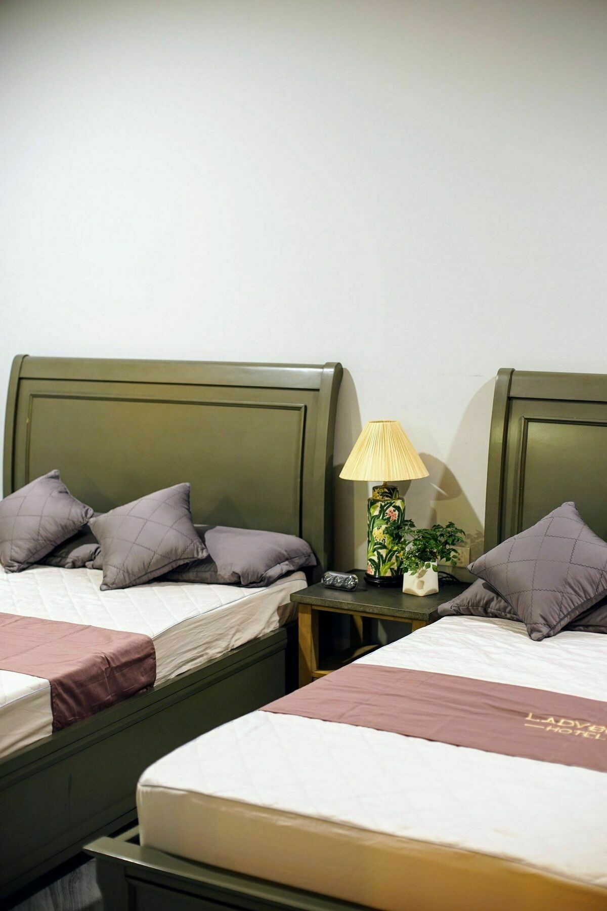 Ladybug Boutique Villa Hanoi Eksteriør billede