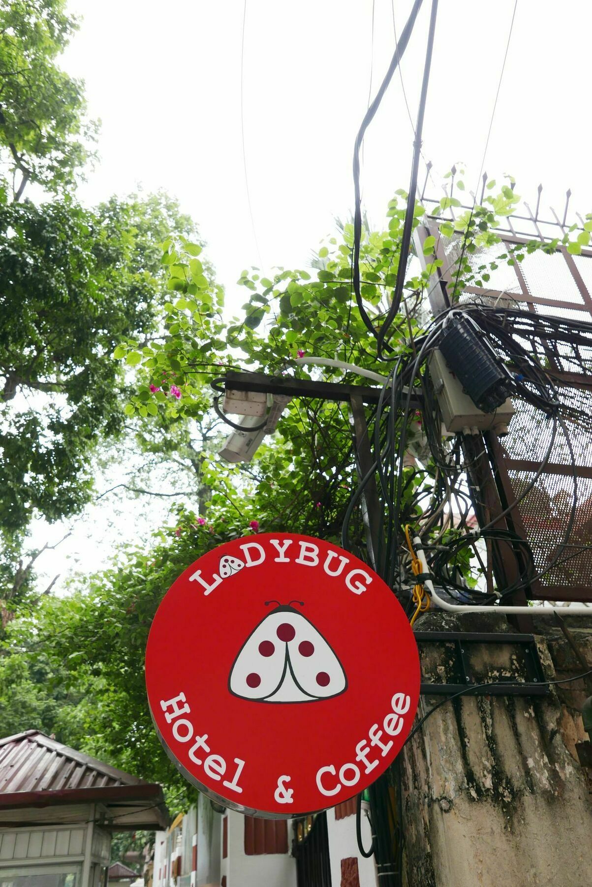 Ladybug Boutique Villa Hanoi Eksteriør billede