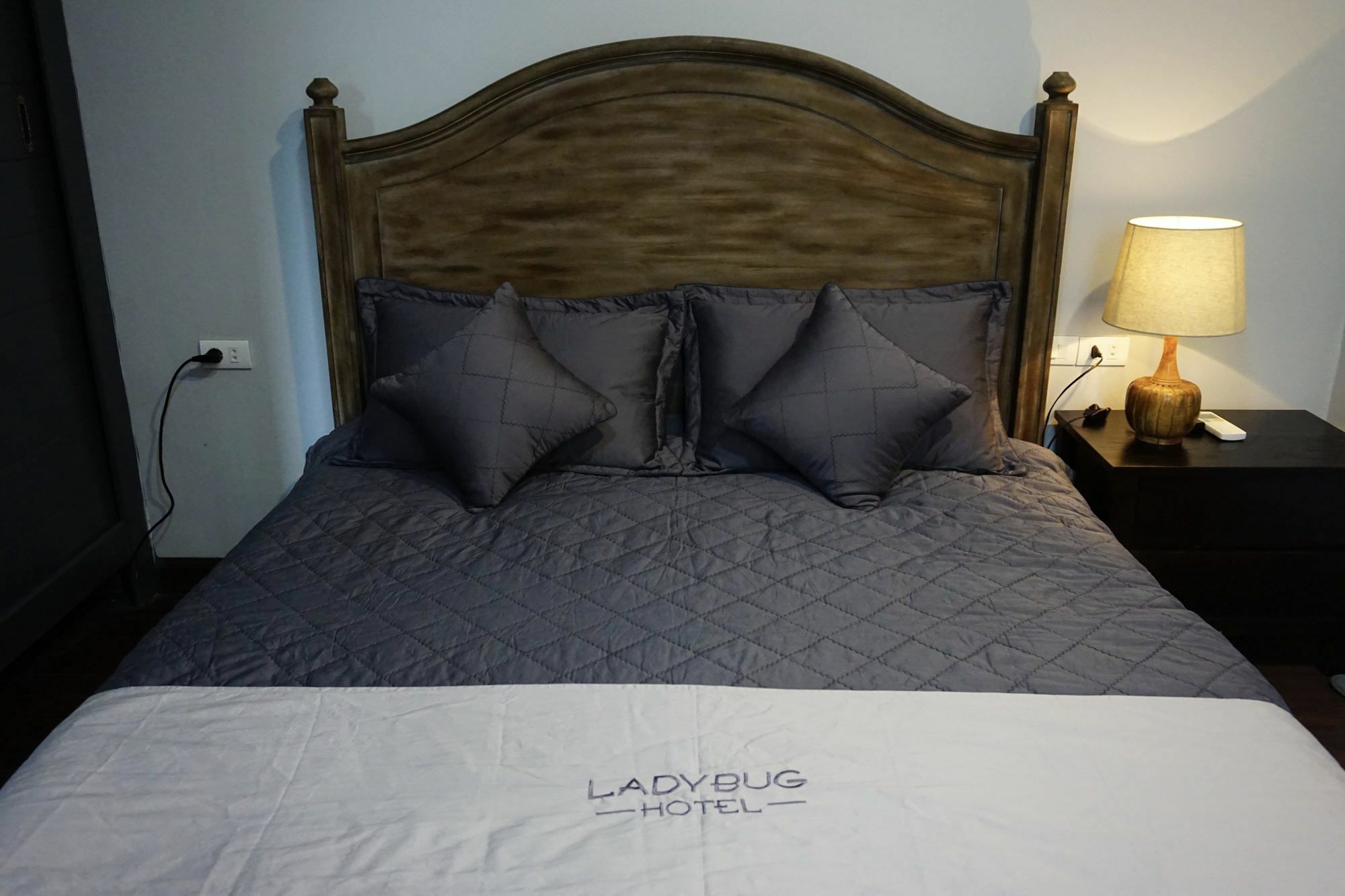 Ladybug Boutique Villa Hanoi Eksteriør billede